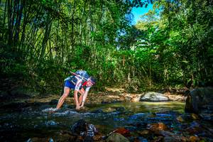 BIB: 
                            <button type="button" onclick="openModal(21765077)" class="btn btn-primary btn-sm float-right btn-popup" data-toggle="modal" data-target=".modal-high-quality">
                        <i class="fas fa-shopping-cart"></i> Add to Cart
                    </button>
                                            <button type="button" onclick="isThisMe(21765077, true)" class="btn btn-success btn-sm float-right btn-popup btn-isme hidden" data-toggle="tooltip" data-placement="bottom" title="นี่คือรูปของคุณใช่ไหม คลิกที่นี่เพื่อเอาเข้าอัลบั้ม">
                        <i class="fas fa-plus"></i> Add to album
                    </button>
                    <button type="button" onclick="isThisMe(21765077, false)" class="btn btn-warning btn-sm float-right btn-popup btn-isnotme hidden">
                        <i class="fas fa-ban"></i> Remove from album
                    </button>